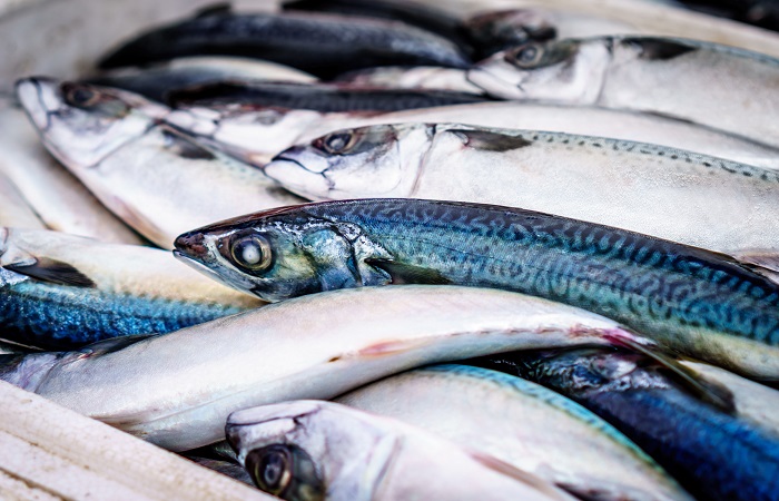 Alimentos que favorecen la fertilidad en las mujeres, ácidos grasos Omega-3 en alimentos que favorecen la fertilidad en las mujeres