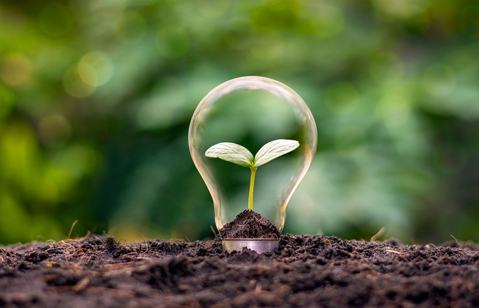 Ideas en beneficio del planeta Proyectos para la sostenibilidad
