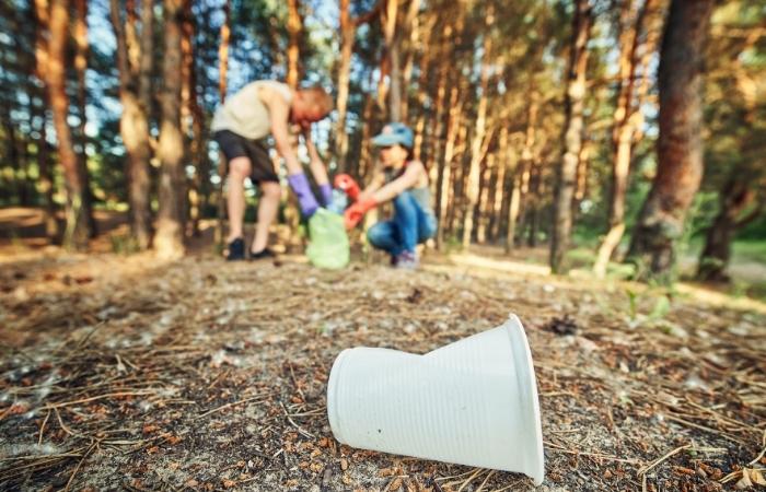 Ideas para que los niños colaboren en verano con ONG´s Ideas para colaborar en verano y mejorar el medioambiente