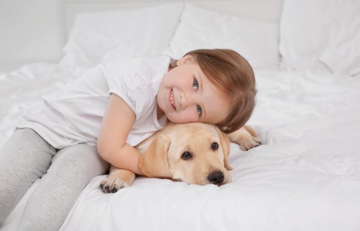 Los niños y también los animales de compañía sufren en los procesos de separación custodia de la mascota en caso de divorcio o separación cuando hay niños