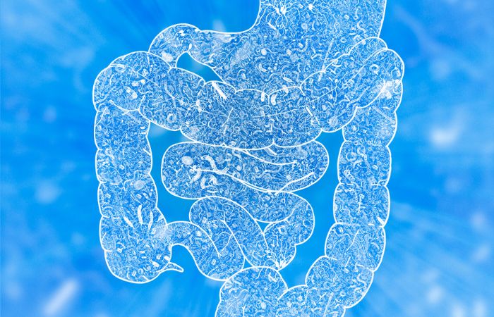 Microbiota