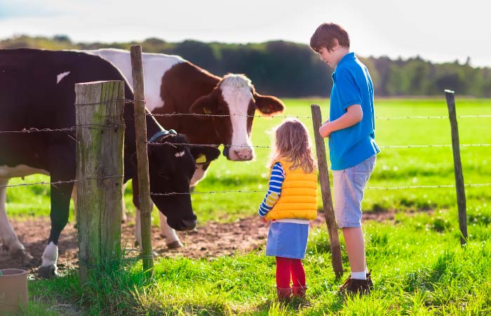Los expertos sugieren que la mejor forma de aprender, es práctica origen de los alimentos vaca niños