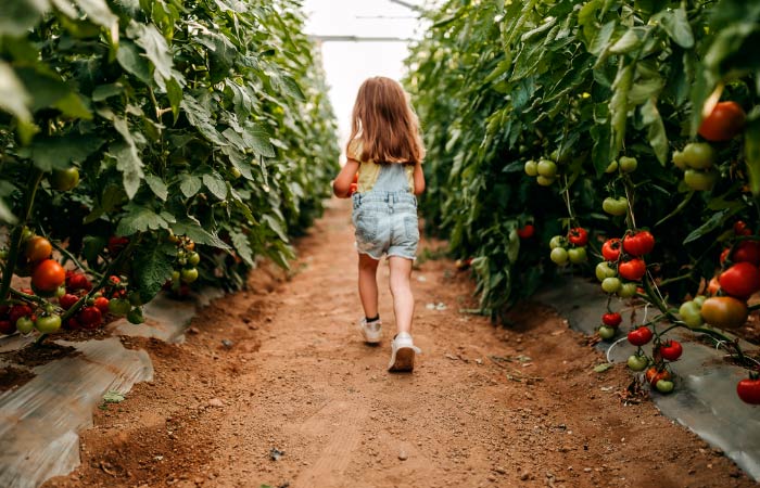 niños origen de los alimentos nutricion saludable sostenible