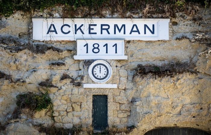 Casa Ackerman Actividades para vivir la vendimia en el Loira