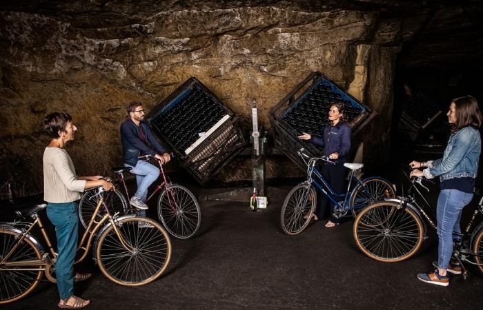 bodega subterránea Bouvet - Ladubay Actividades para vivir la vendimia en el Loira