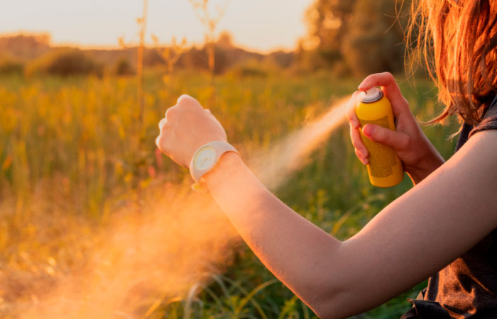 Los antimosquitos más eficaces del verano