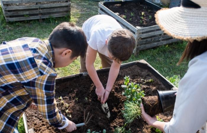 La tecnología para conectar el medio rural y el urbano conectar el medio rural y el urbano también en el huerto