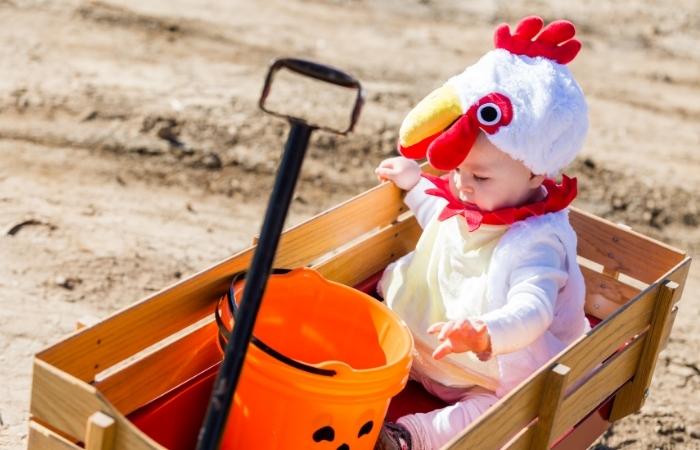Disfraz de gallo para bebés Simpáticos disfraces de Halloween para bebés