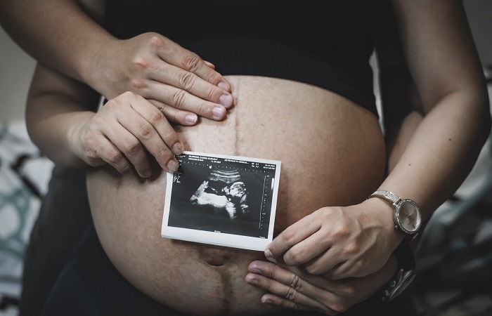 Curiosidades sobre la maternidad