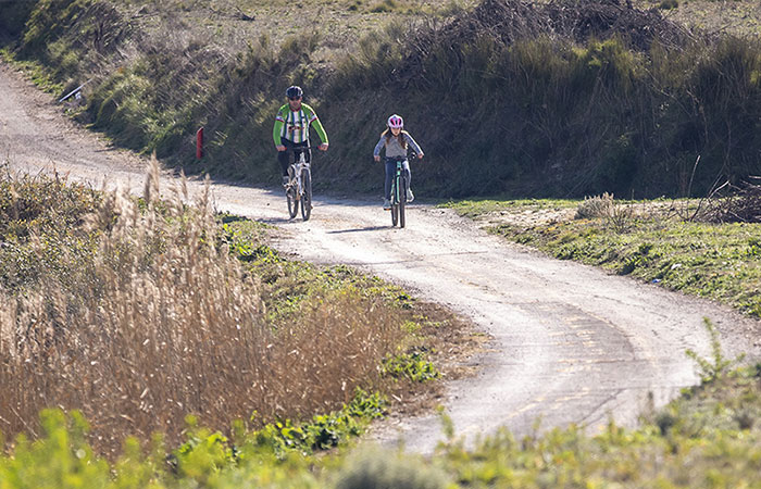 Ruta 99 de la Comunidad Valenciana
