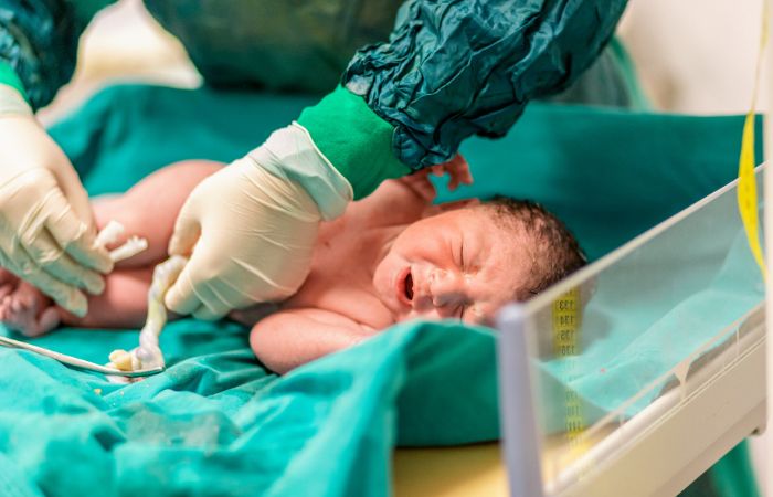 Comerse la placenta: ¿moda saludable o arriesgada?