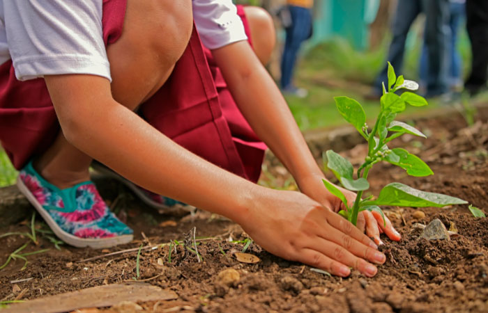 El respeto por la naturaleza es la base de la conciencia ecológica La conciencia ecológica y la naturaleza