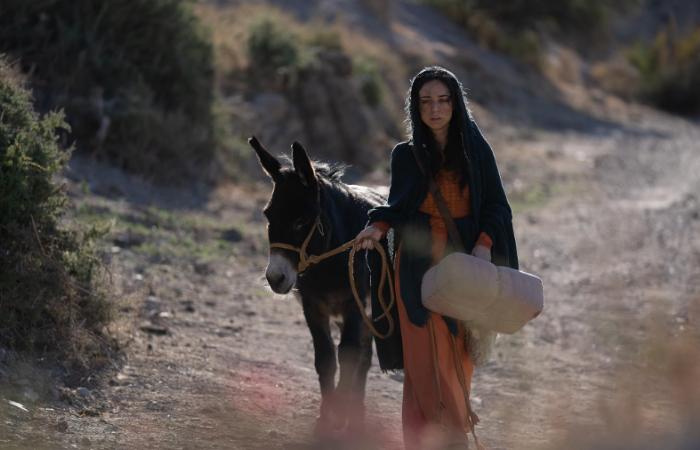 La historia del nacimiento de Jesús llega a la pantalla grande de forma única camino a belen Fiona Palomo