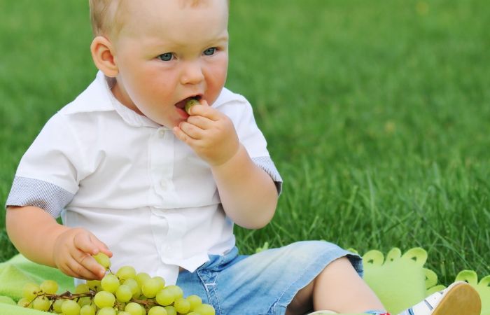 Las uvas tienen múltiples beneficios para los niños pero hay que tomar precauciones los niños no deben comer la uva entera