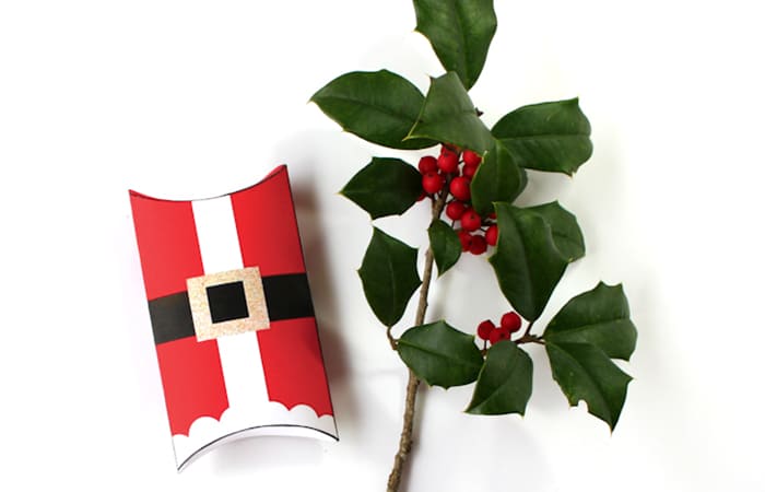 Cómo hacer un recipiente de uvas con decoración de Navidad recipiente de uvas con decoración de Navidad