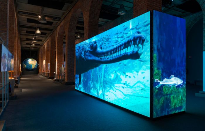 Somos Agua. Una exposición para ver, oír y aprender