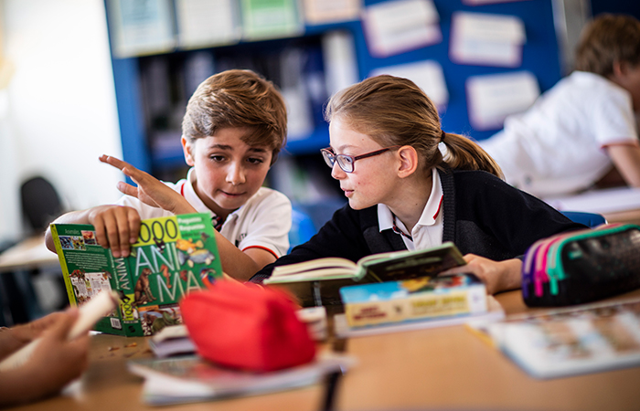 British Council School
