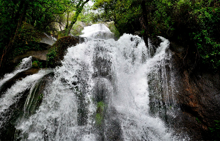 Garganta de las Nogaledas, en Navaconcejo Navaconcejo , Valle del Jerte: Garganta de las Nogaledas