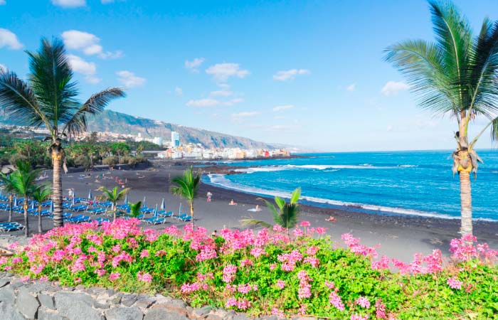 Flores en el Puerto de la Cruz Puerto de la Cruz