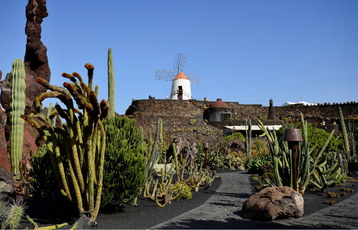 Excursiones en Lanzarote