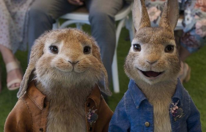Estreno de Peter Rabbit: Conejo en fuga Peter Rabbit: Conejo en fuga