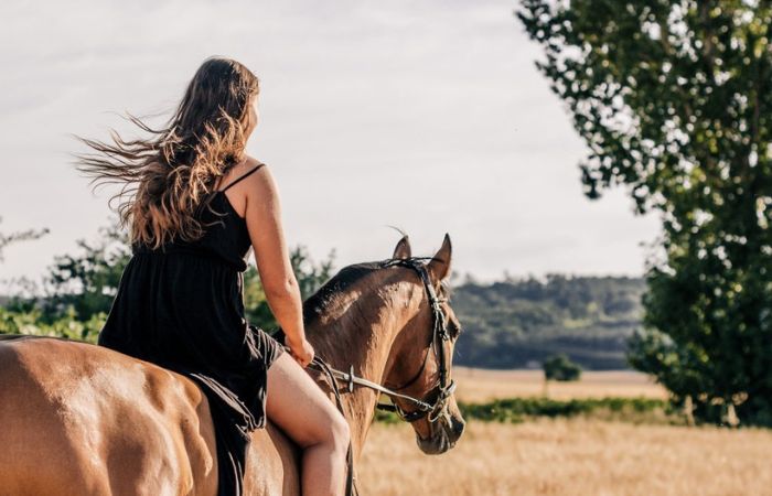 Ruta a caballo en la Sierra de Madrid