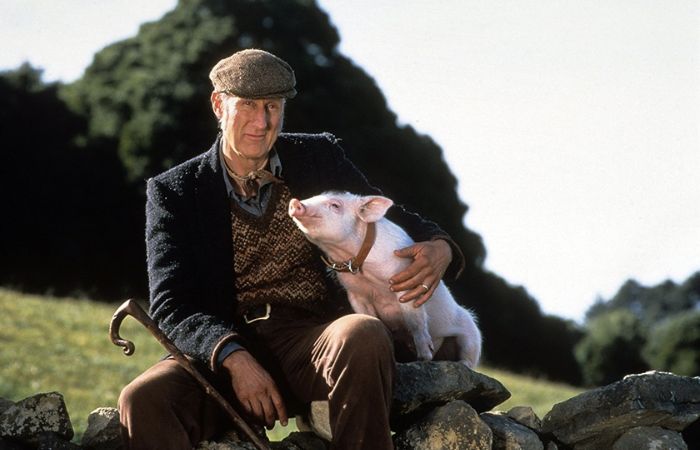 Fotograma película Babe, el cerdito valiente Babe, el cerdito valiente