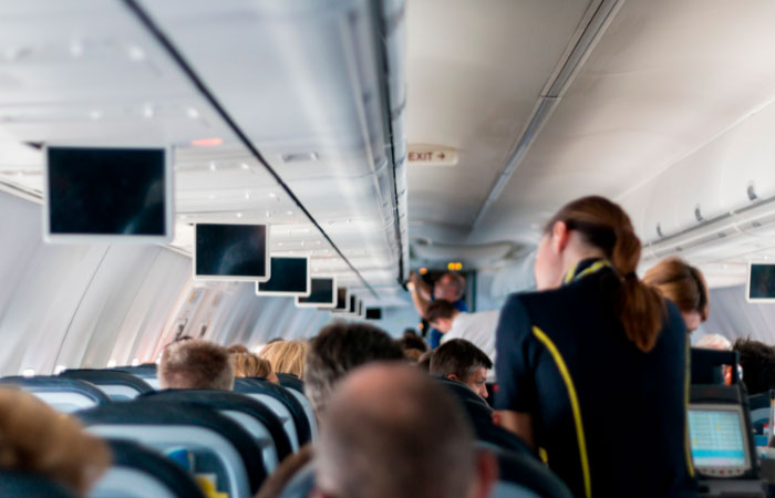 Asegúrate de que los alimentos que lleves cumplan con las regulaciones aéreas papillas durante las vacaciones: en el avion