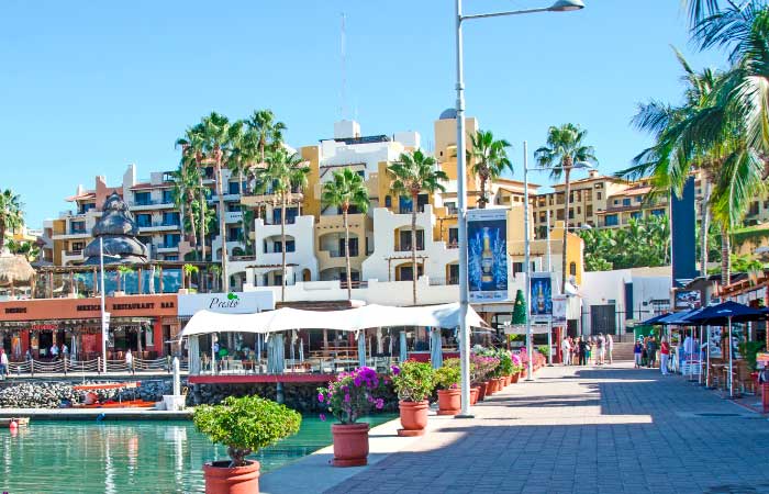Avista ballenas y descubre la fauna local en Cabo San Lucas Ciudades de México Cabo San Lucas