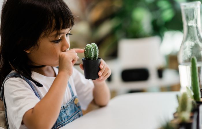 Ideas para acercar la naturaleza al cuarto de juegos Montessori Añade plantas al cuarto de juegos Montessori