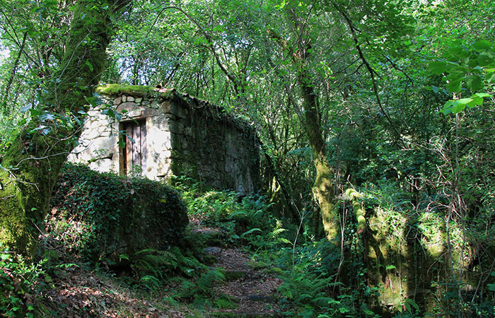 Campo Lameiro en Pontevedra