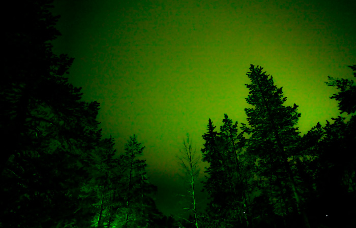 Puedes ver auroras en el cielo de Rovaniemi ¿verás también un trineo? Rovaniemi luces del norte aurora boreal