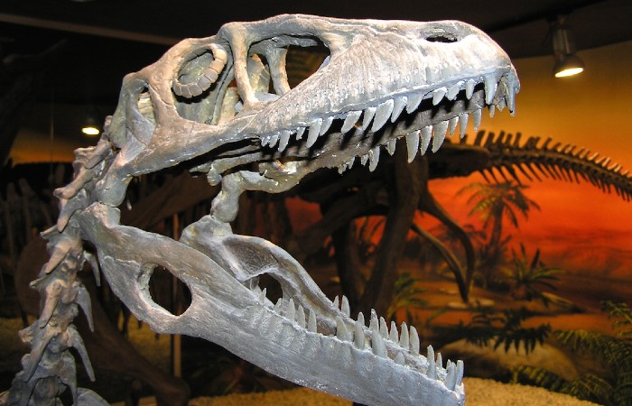 Verano 2023 en el MUPE: talleres infantiles en torno a dinosaurios, volcanes y tiburones