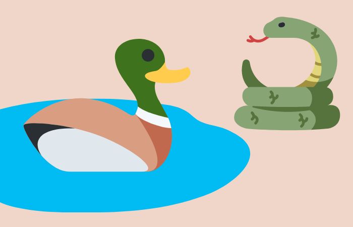 La historia didáctica El pato y la serpiente El pato y la serpiente