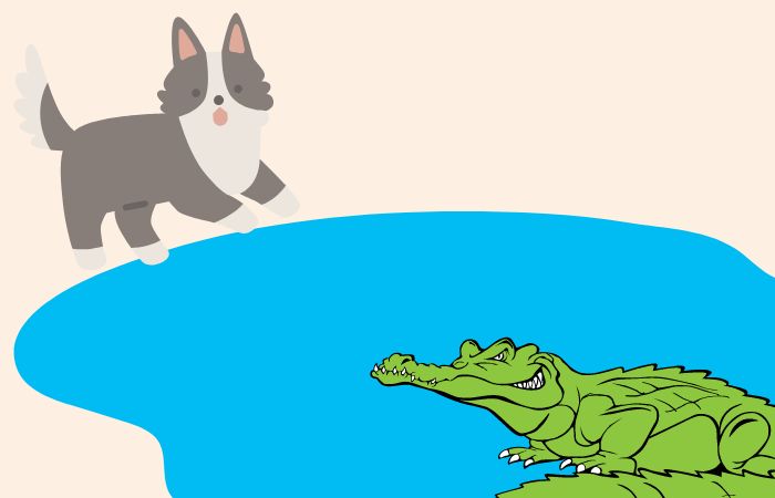 La historia de El perro y el cocodrilo fábulas con moraleja: El perro y el cocodrilo