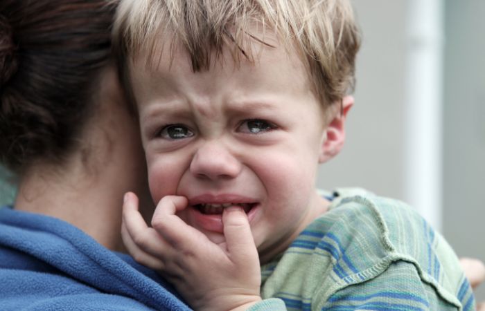 Empatizar con los niños emocionalmente intensos Niños emocionalmente intensos: acompañamiento