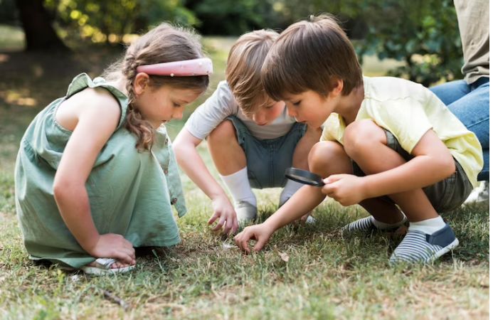 Juegos de observación en la naturaleza: buscar insectos, por ejemplo Fiesta al aire libre, en la naturaleza