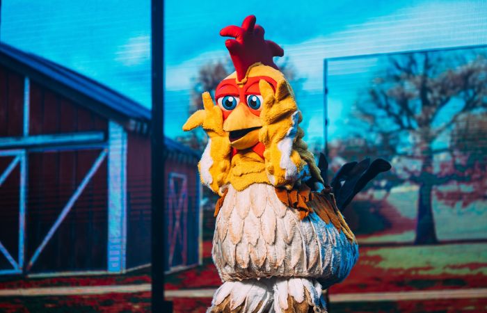 La Granja de Zenón: El Gran Gallo en el Auditori Fòrum CCIB