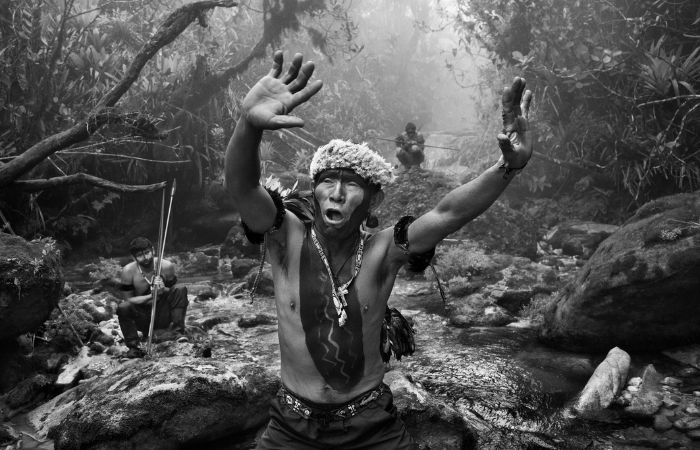 Amazônia, una exposición de fotografías de Sebastião Salgado