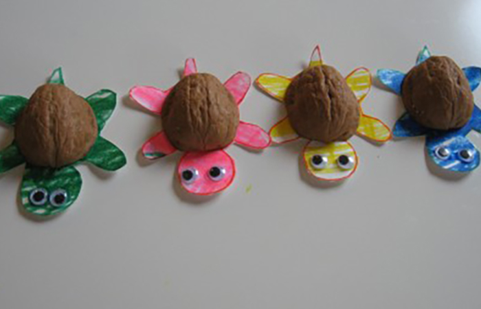 Cómo hacer tortugas con cáscaras de nuez tortuga de nuez