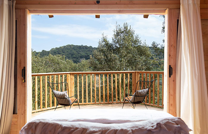 Nits de Bosc en Barcelona