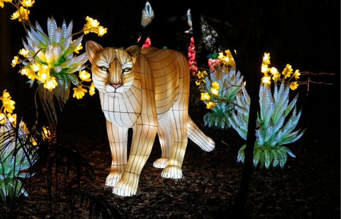 Brilla Madrid, el zoo iluminado más grande del mundo