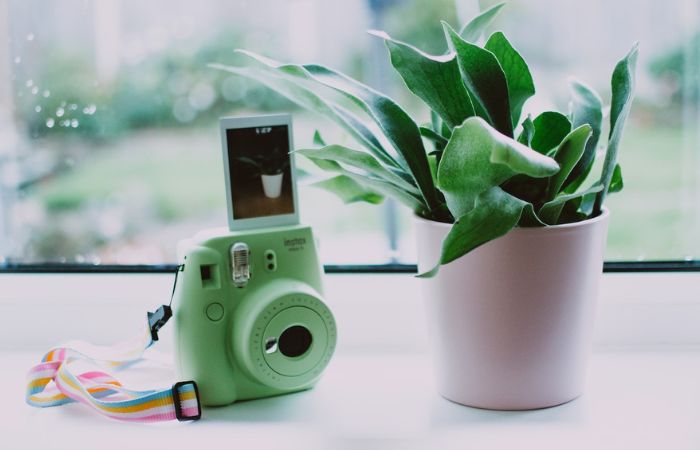 cámara tipo polaroid dispositivo para tomar e imprimir fotos al momento