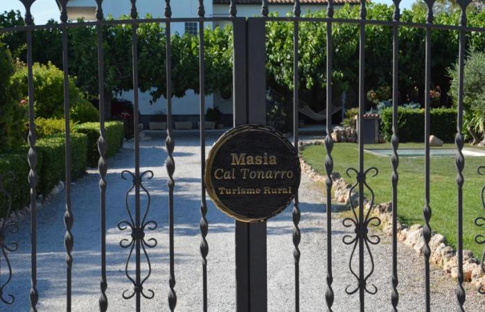 Visita la ruta del vino desde Cal Tonarro casa rural cerca de barcelona cal tonarro