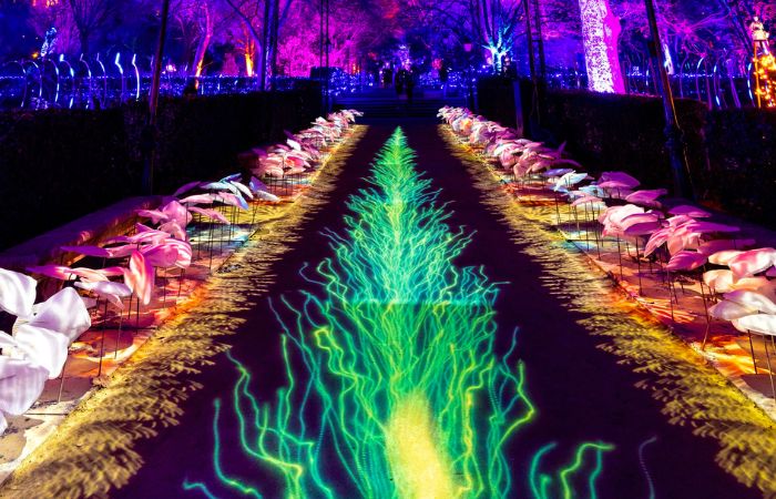 Naturaleza Encendida: Insectos. Un espectáculo lumínico en Madrid
