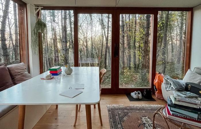 ¿Y si las paredes fueran de cristal? Así es esta casita en el bosque cabañas en los arboles belgica