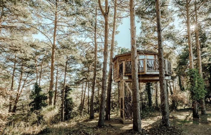 Cabañas sostenibles y responsables con el medio ambiente casas en los arboles cataluña españa europa