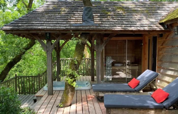 Apúntate al spa natural en Francia en una cabaña en el bosque chateaux dans les arbres dormir entre los arboles europa francia