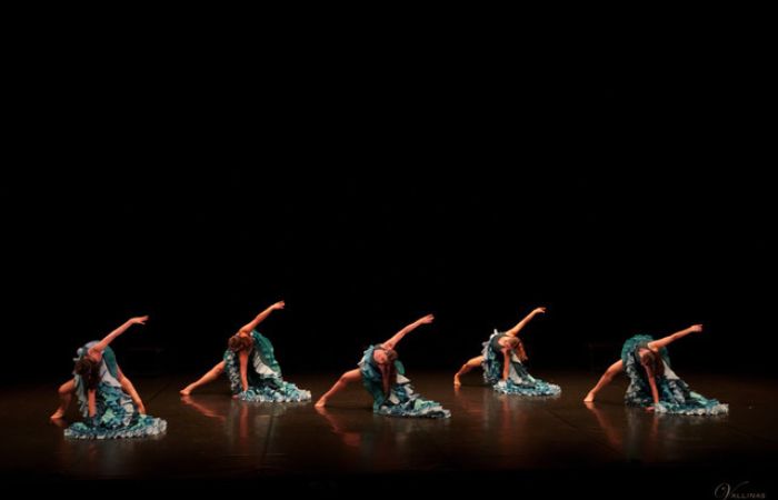 IX Festival Benéfico de Danza por la Investigación del Neuroblastoma