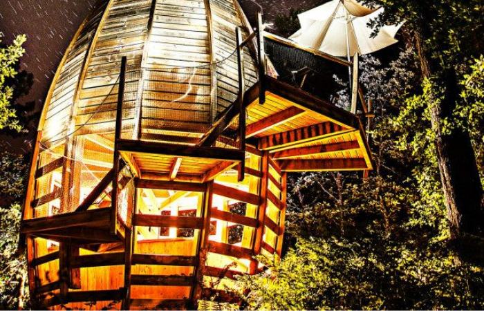 Las casas parecen semillas, ¡pero no te dejes engañar, están llenas de comodidades! dormir entre los arboles cap cabane francia